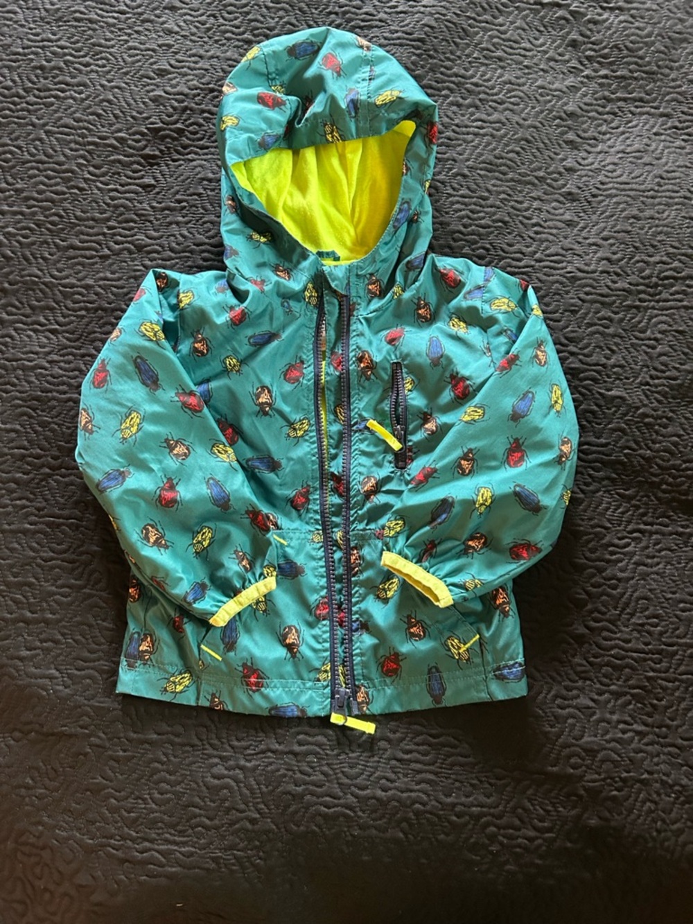 2T Teal Bug Print Hooded Windbreaker Jacket with Lime Green Lining
